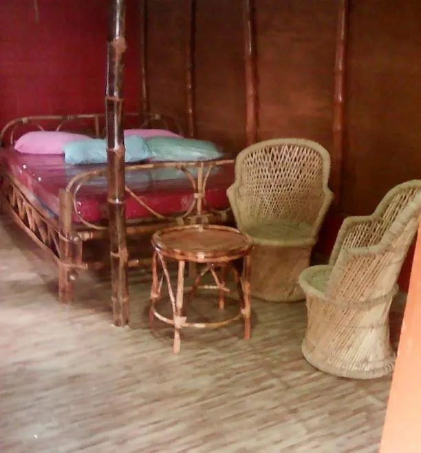 Regina Silva Jungle Resort Paithalmala India