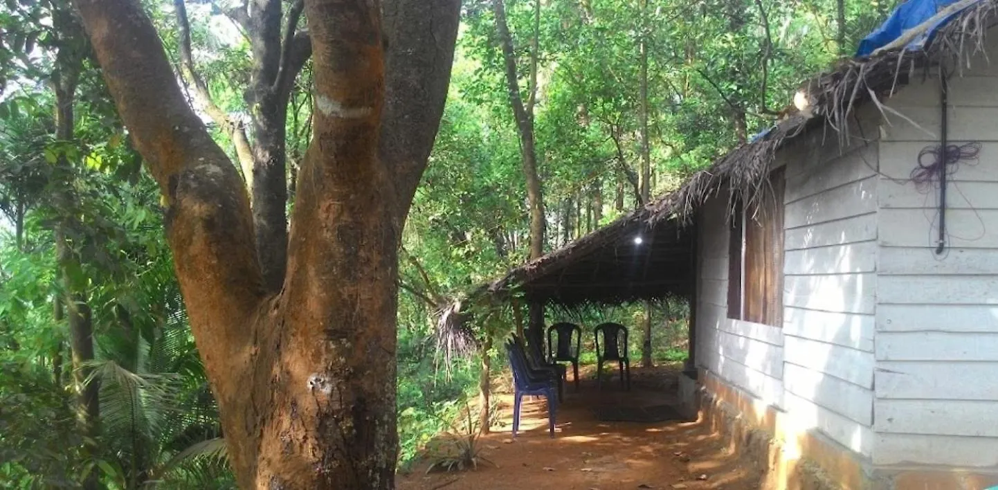 Regina Silva Jungle Resort Paithalmala