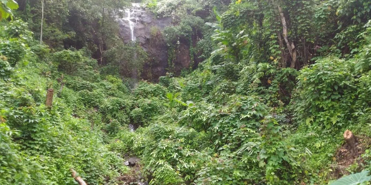 Regina Silva Jungle Resort Paithalmala