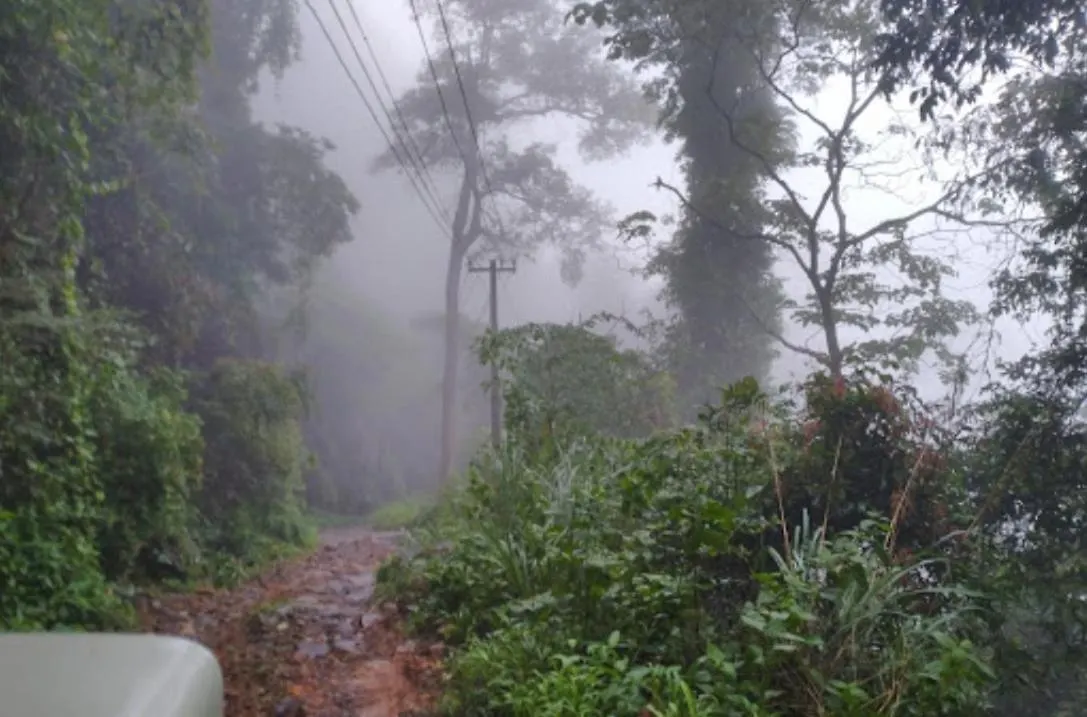 Regina Silva Jungle Resort Paithalmala India