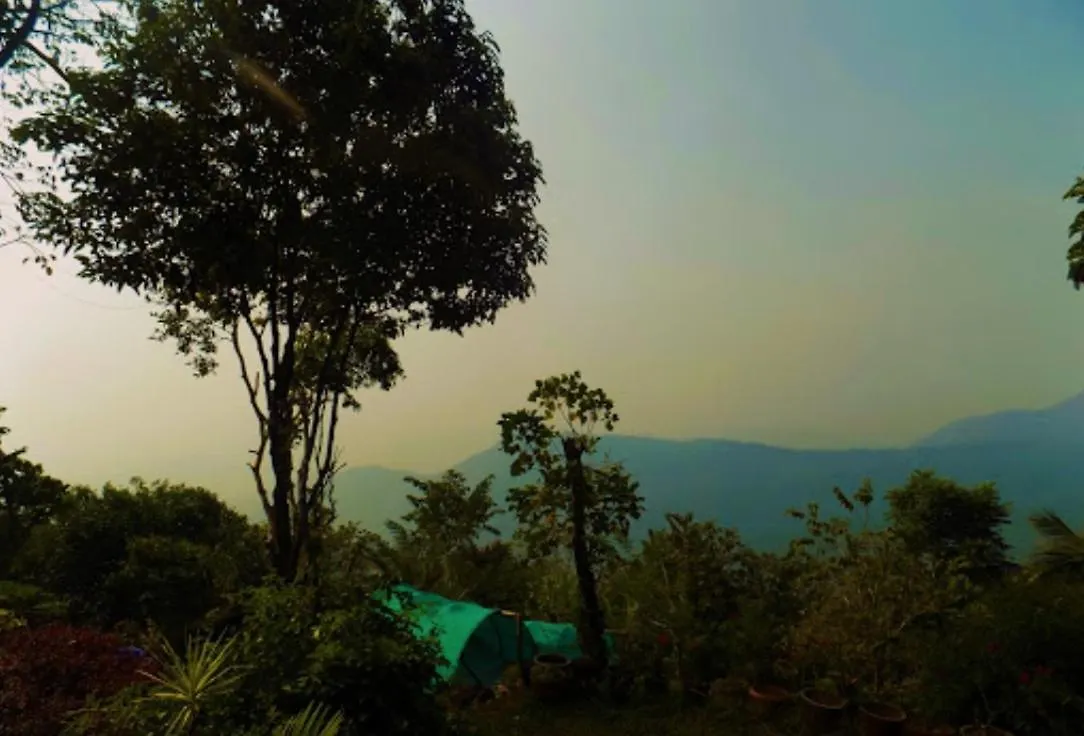 Regina Silva Jungle Resort Paithalmala India